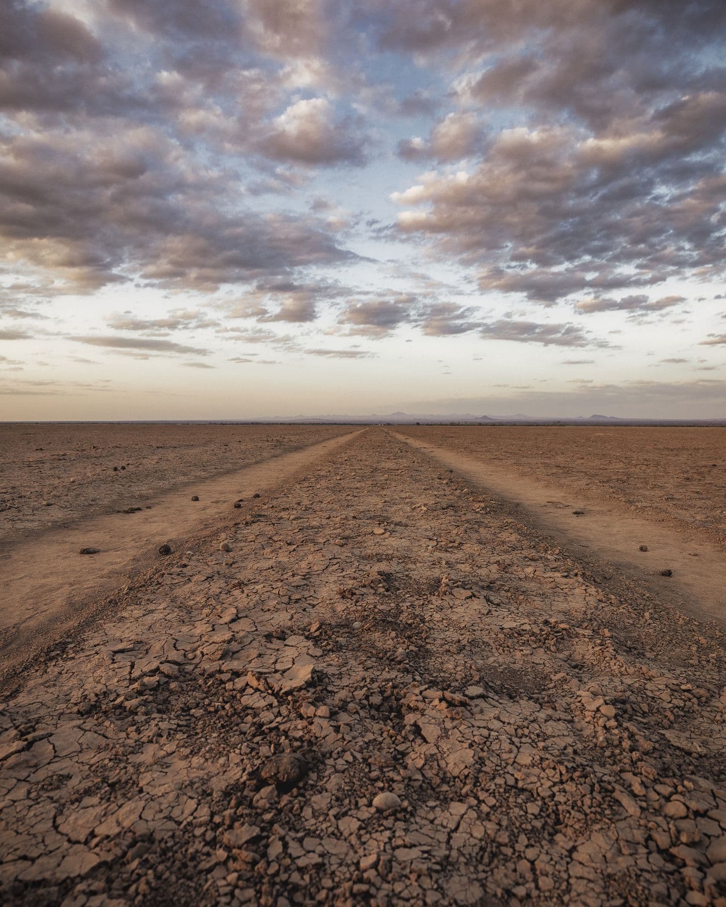 Tracks across the Chalbi
