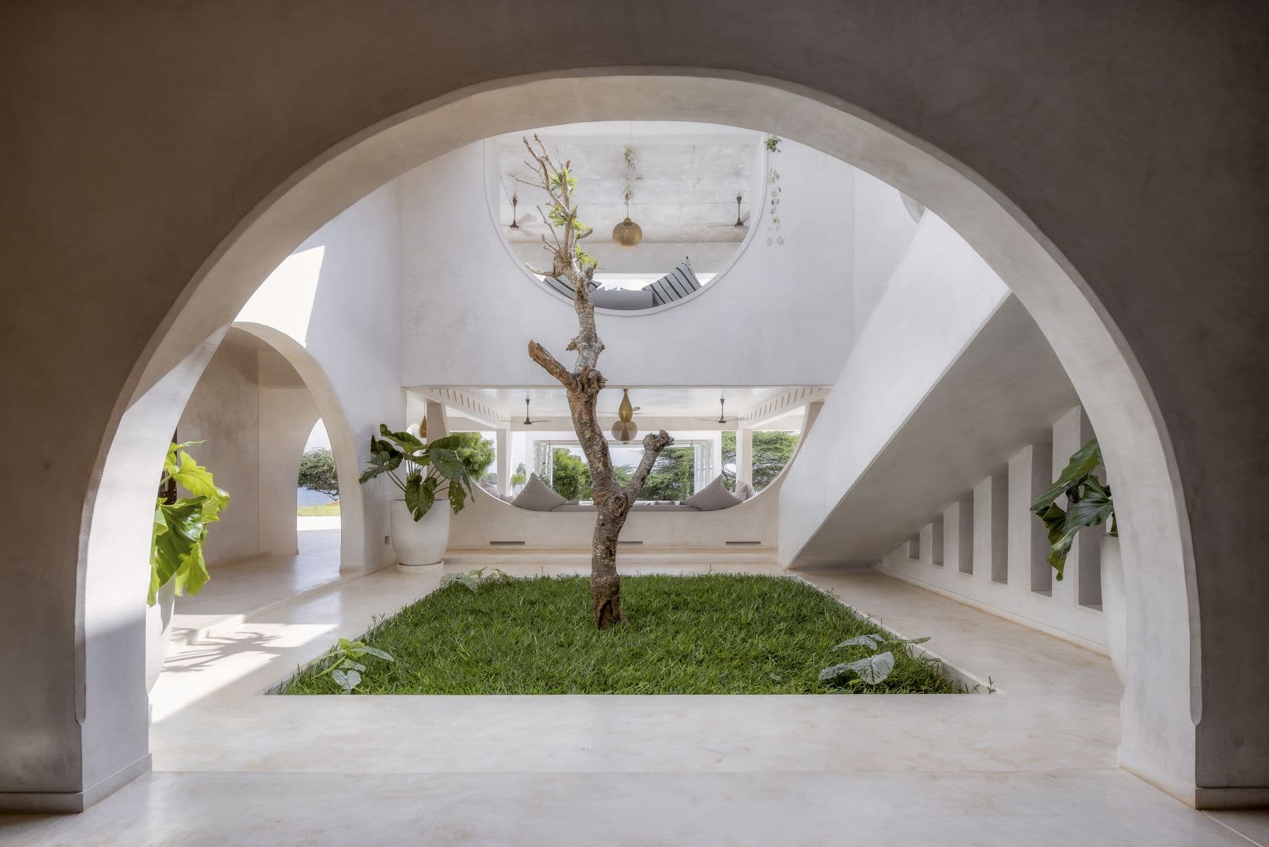 The frangipani courtyard